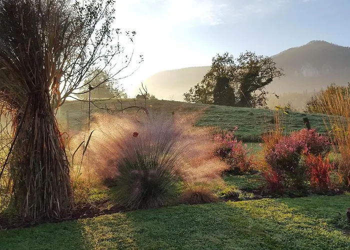 Asaliah Sainte-Colome